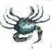 CRAB Art Print 8x10