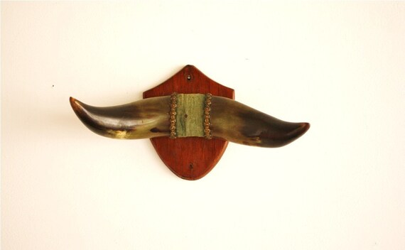 Antique set of small bull horns mounted on a by highstreetmarket