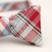 black friday/cyber monday sale-red and blue plaid freestyle bow tie
