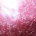 10/0 Deliac Beads ICL Clear Cranberry DB924 10g