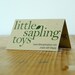 Little Michigan State TEETHING TOY - natural wooden teether for infants and toddlers