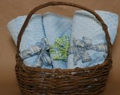 Baby Boy Blanket Blue Minky Dot