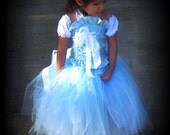 Cinderella Princess costume SET includes Corset top Full Tutu Arm Puffs  and headband