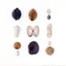 Fiji Beachcombing series No.10 - 12 x 12 photograph - seashell, cowrie, coconut seed, coral, cone shell