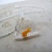 Goldfish In A Bag Necklace