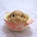 Bunny In A Pot Necklace - Last One