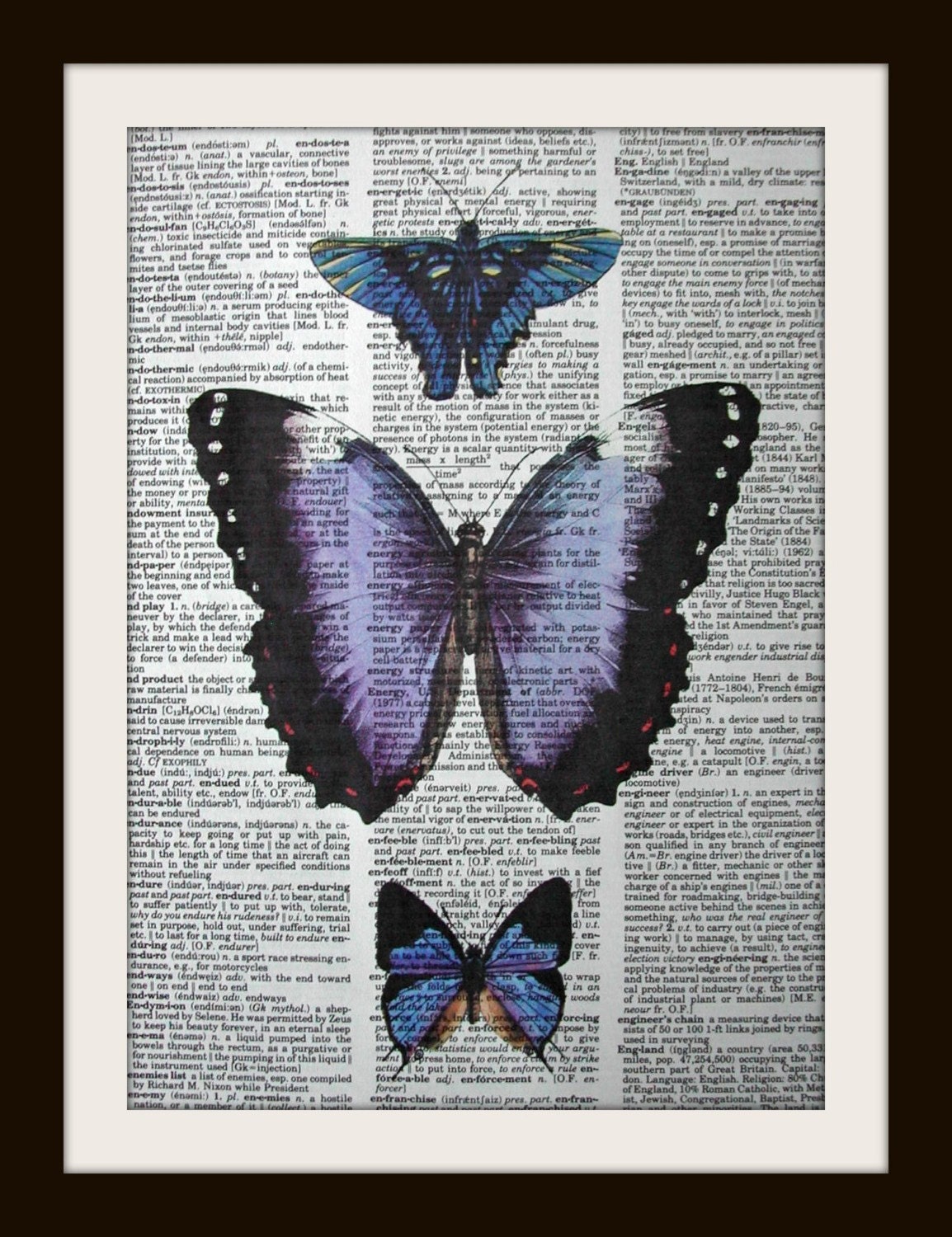 Purple and Blue Butterfly Dictionary Art Print 8x10 vintage insect illustration
