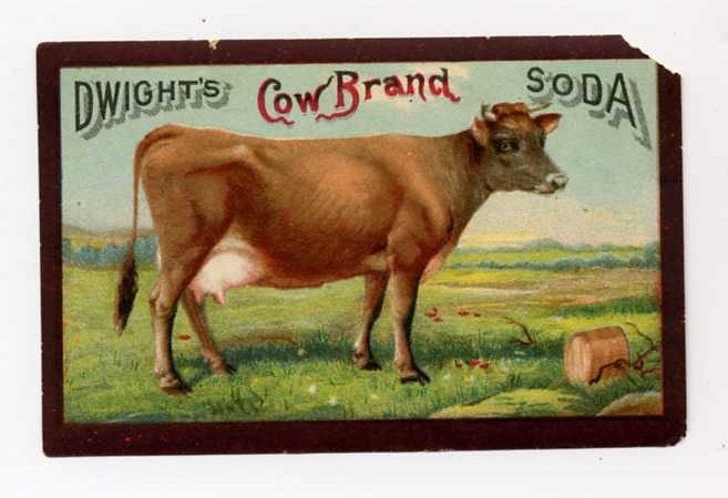 Victorian Trade Card - Great Cow - Late 1800's