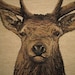 Stags Head Red Tartan Woven Tapestry Cushion Cover Sham