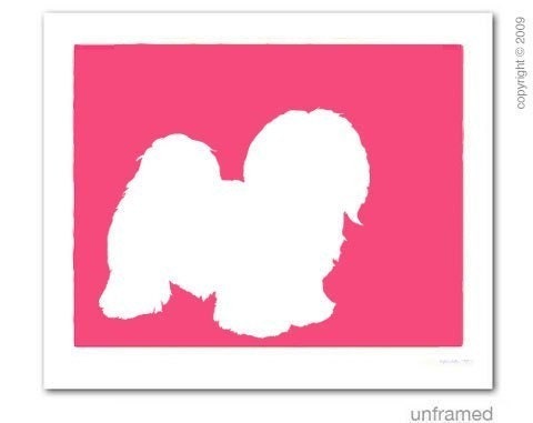 Mod Havanese Fine Art Print 11x14