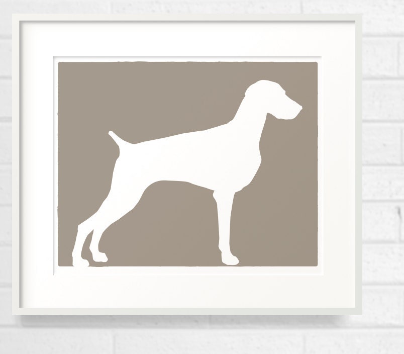 Mod Weimaraner Dog - Grey Ghost - 8x10 Fine Art Print