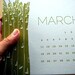 2013 Letterpress Calendar - Growth Spurt
