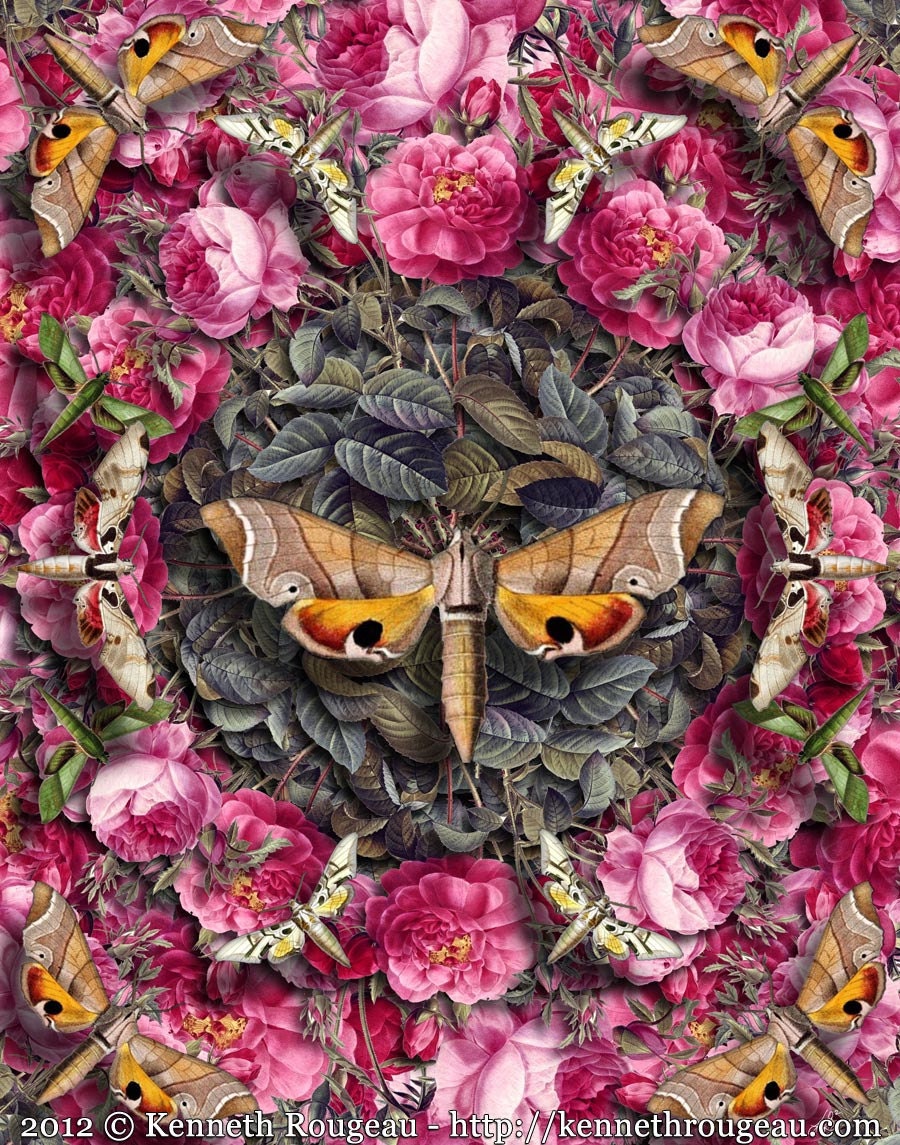 Forms Of Nature No. 17: Flowers and Flutterbyes - Surreal Nature Collage Art
