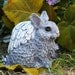 Angel Bunny - Rabbit Angels - Animal Garden Statues