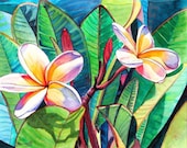 Kauai Plumeria Garden print 8x10 from Kauai Hawaii