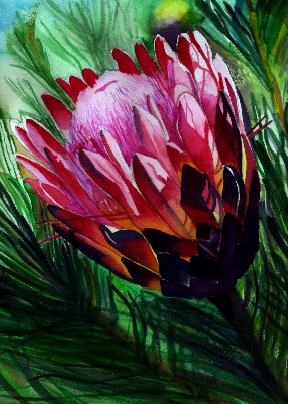 Protea print 5x7