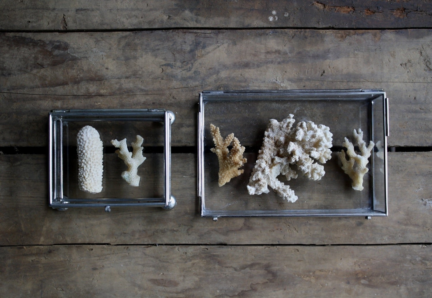 vintage glass shadow boxes