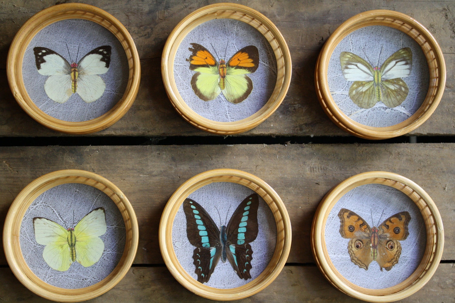 vintage butterfly coasters