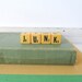 Vintage Letter Dice- Junk