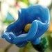 Glass Lampwork Flower Plant Posie - blue