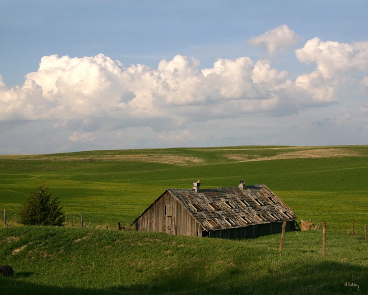 Nebraska Photo - Landscape Photograph - Rustic Shed in a Pasture - Fine Art Photograph
