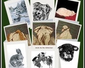ANIMAL Blank Fine Art Note Card Assortment