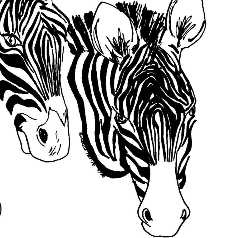 Drawings Of Zebras