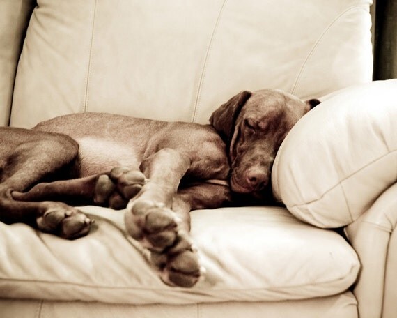 Good Company - 8x10 Fine Art Print