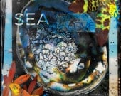 Best Seller, SEA LOVE, 8 x 10 in. Hand Signed Matted Print, Abalone, Ocean, Boat, Turquoise Water, Orchids