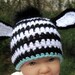 Baby Zebra Hat, Crochet Baby Hat, Boy Zebra Hat, Newborn Zebra Hat, Infant Animal Hat, Baby Beanie, Photo Prop, Black Blue