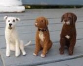 Custom Pet Portraits - Fiber Sculpture of your Dog, Cat or Horse