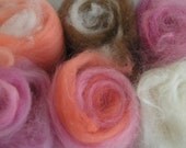 Mini BON BON Six Pack - Sumptious Sweets Merino Angora and more Roving and Top Combos for Handspinning and Crafts