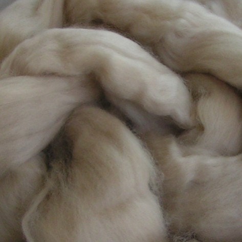 Roving Fiber Cashmere Top DREAMY 17 Micron Sample Approx 1/4 ounce 100 per cent Natural Colored