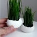 Porcelain Egg Planters, Wheat Grass Kit, Egg Sprouts Set of 2
