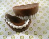 Glycerin Soap Dentures-Grandma Klump Chocolate Mint Scent