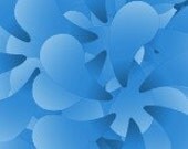 760x100 banner logo for your store or site