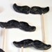 Mustache on a Stick, Made To Order, Paper Mache, Photobooth Prop, Party Favor, Moustaches