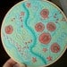 reserved for the wonderful d - hand embroidered hoop art - freeform stitching sampler in 6 inch hoop by bo betsy