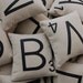 4 Letter Pillows CASES ONLY