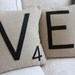 LOVE Letter Pillows - CASES ONLY