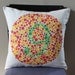 OOPS/Second, 25% OFF - Ishihara Colorblind Test Pillow - Number 9