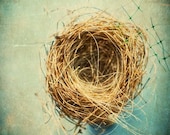 Nest photo nature photography, empty nest, rustic decor still life French country kitchen teal and brown twigs nature art - 8x10