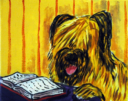 Briard reading a book library  picture Dog Art Print on Stretched Canvas 12x16 inch