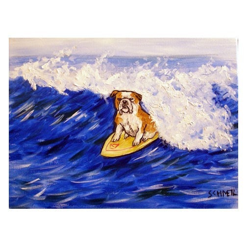 Bulldog Surfing