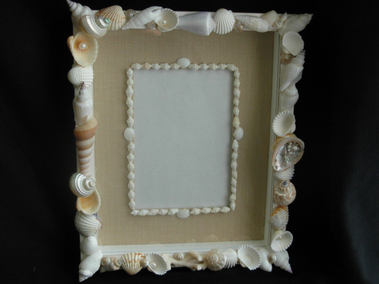 Beach Decor-Shell-Embellished Shadow Box/Frame