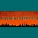 Large Original Modern Abstract Heavy Texture Landscape Birds Acrylic Painting "Sleepless City" by QIQIGALLERY 36x12x0.8