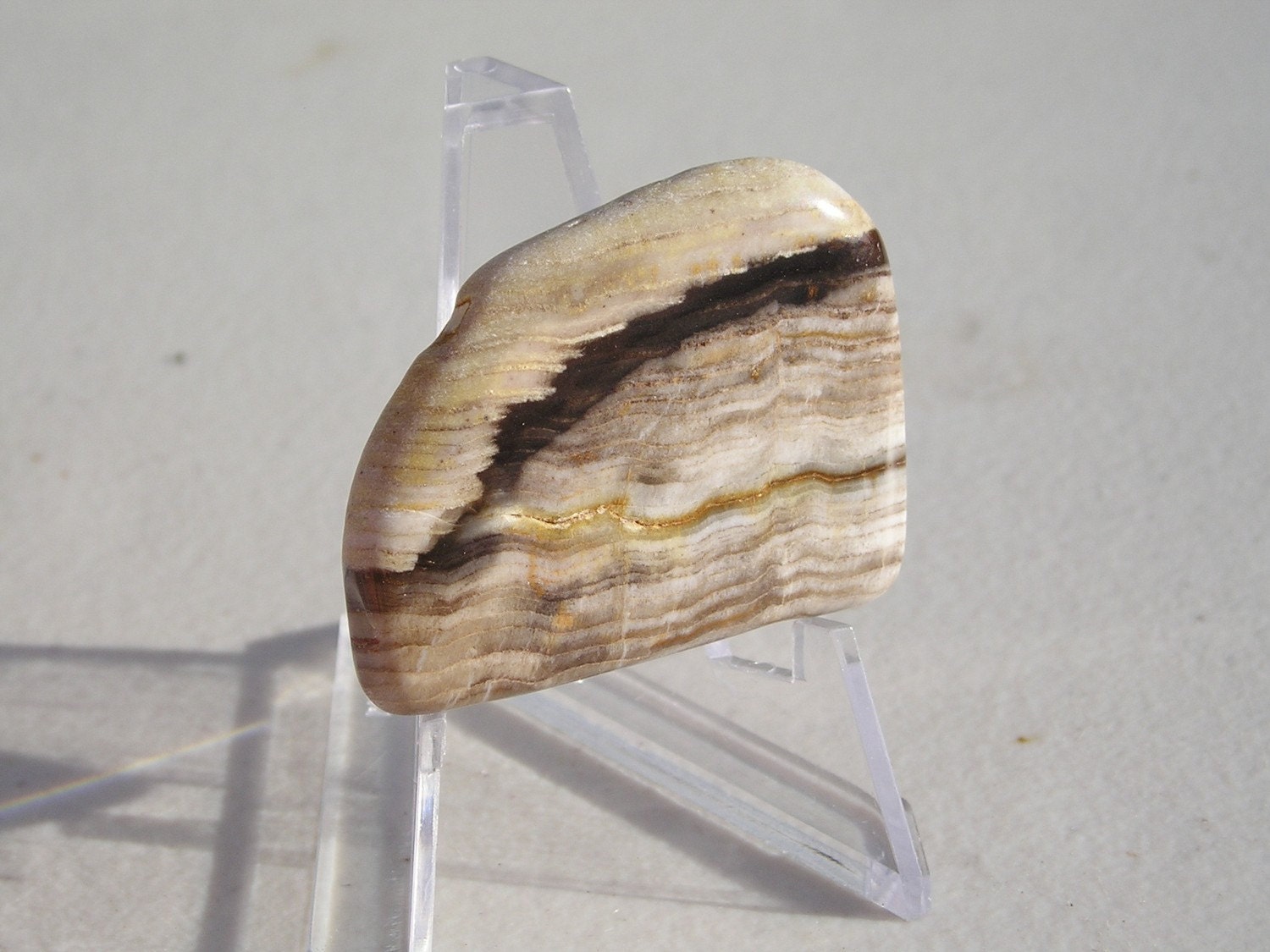 Wood Opal