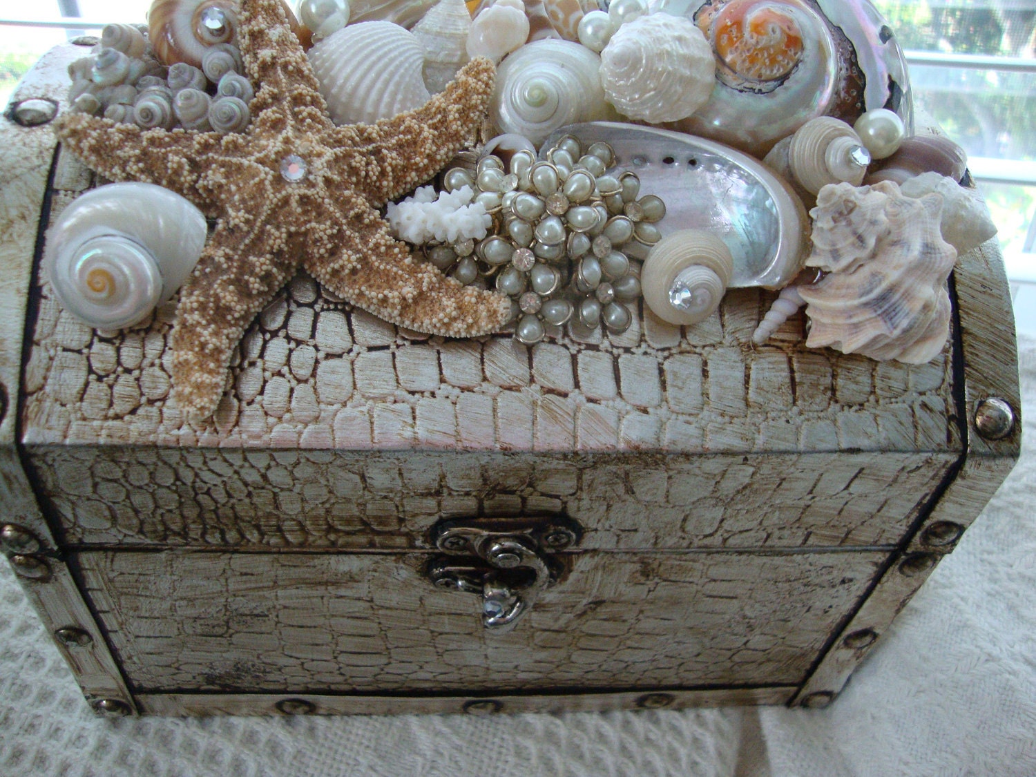 Treasure Box of the Sea