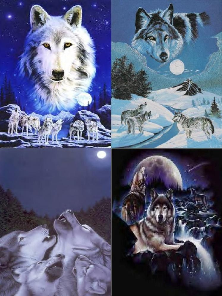 Lot Of 4 Fantasy Wolves Fabric Quilt Panel Blocks