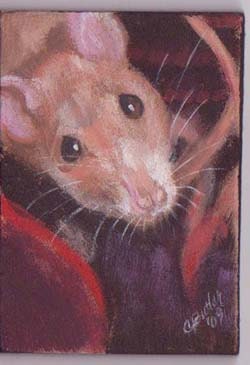 Rat...Bright Eyes ACEO Magnet